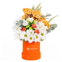 Daisy Together Ayıcıklı Papatya Bahçesi