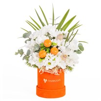 Tangerine Lace Beyaz Çiçek Rüyası