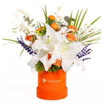 Citrus Overture Lilyum Zarafeti
