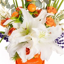Citrus Overture Lilyum Zarafeti