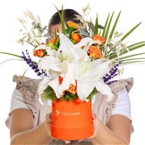Citrus Overture Lilyum Zarafeti