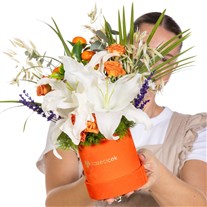Citrus Overture Lilyum Zarafeti
