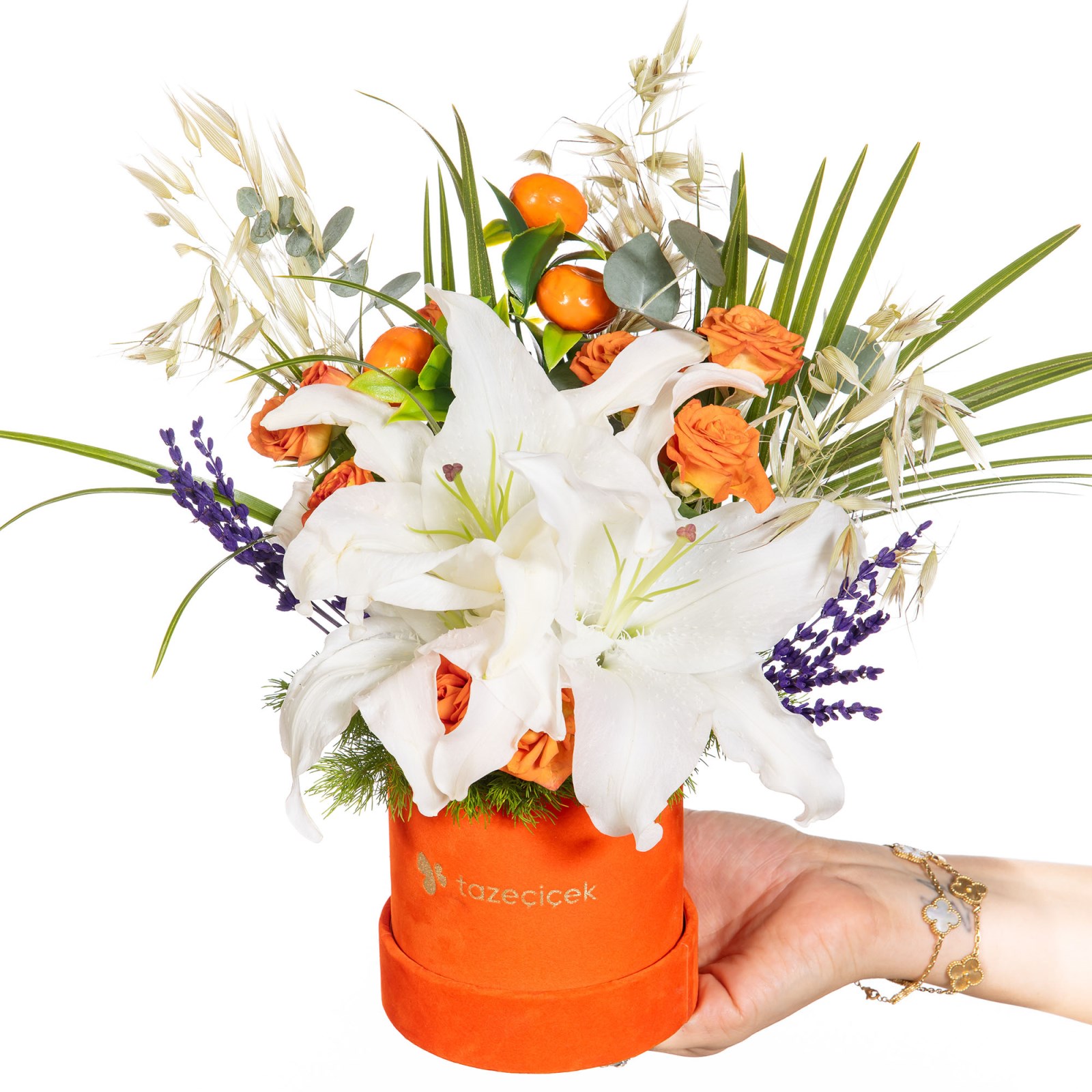 Citrus Overture Lilyum Zarafeti