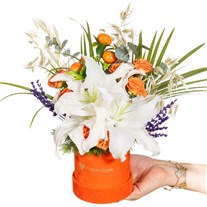 Citrus Overture Lilyum Zarafeti
