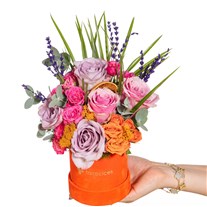 Rose Confetti Kutuda Renkli Güller