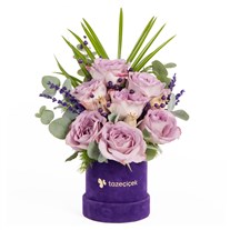Lilac Serenade Kutuda Lila Güller