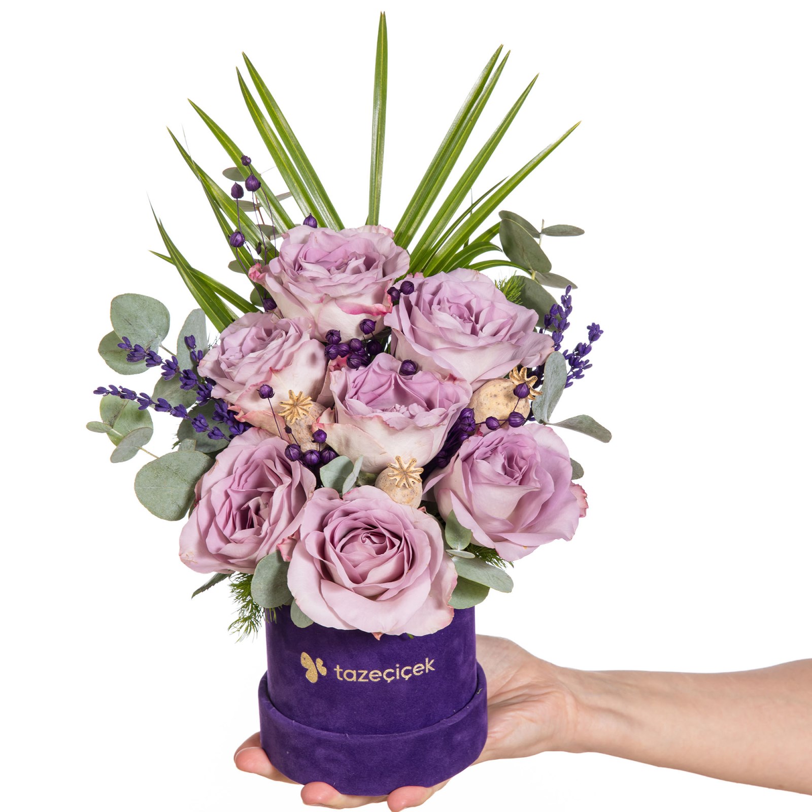Lilac Serenade Kutuda Lila Güller