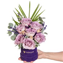 Lilac Serenade Kutuda Lila Güller