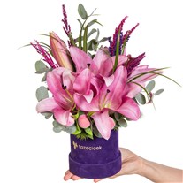 Pink Sonata Kutuda Pembe Lilyumlar