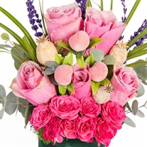 Rose Affection Pembe Gül Rüyası