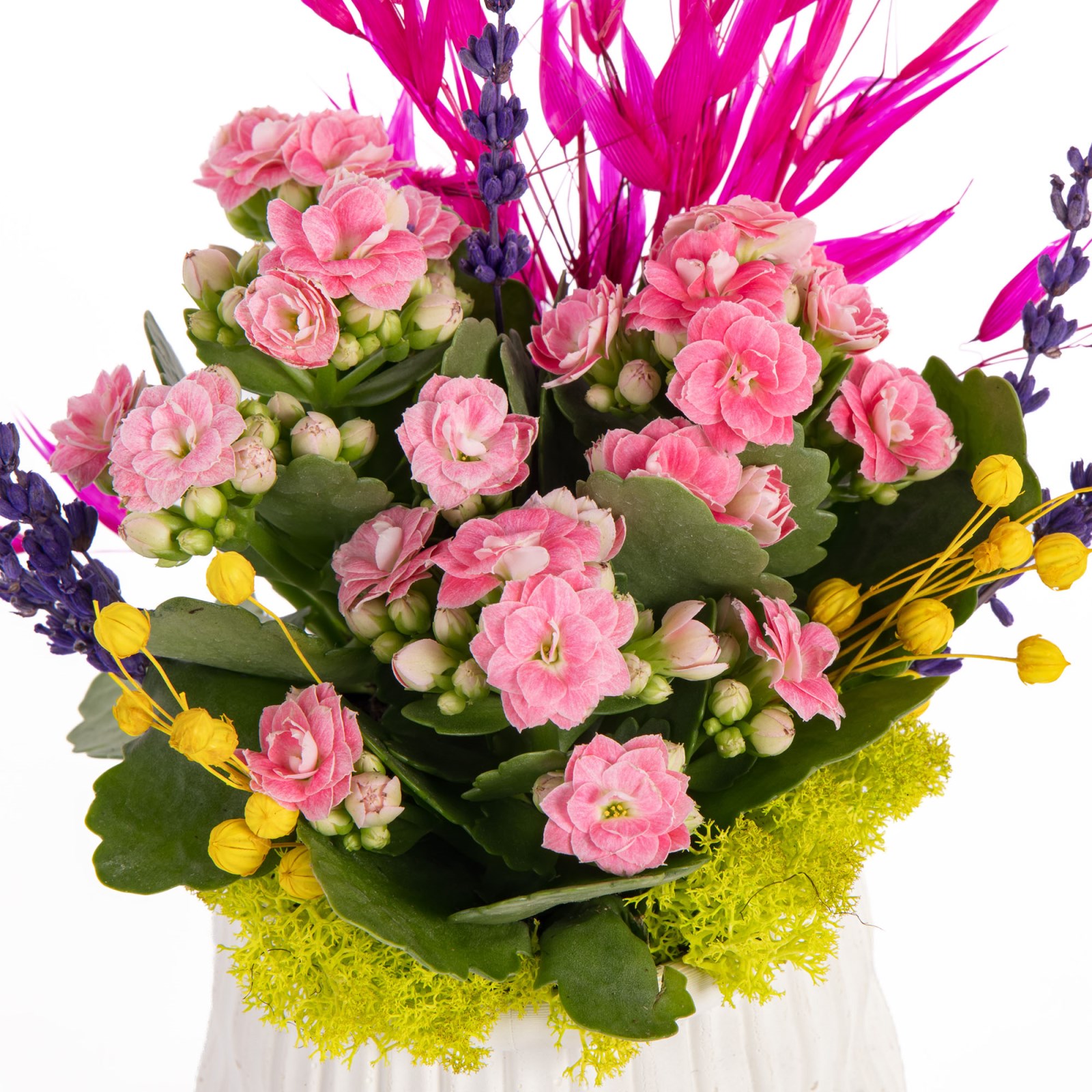 Pink Sprig Pembe Kalanşo Aranjmanı