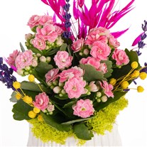 Pink Sprig Pembe Kalanşo Aranjmanı
