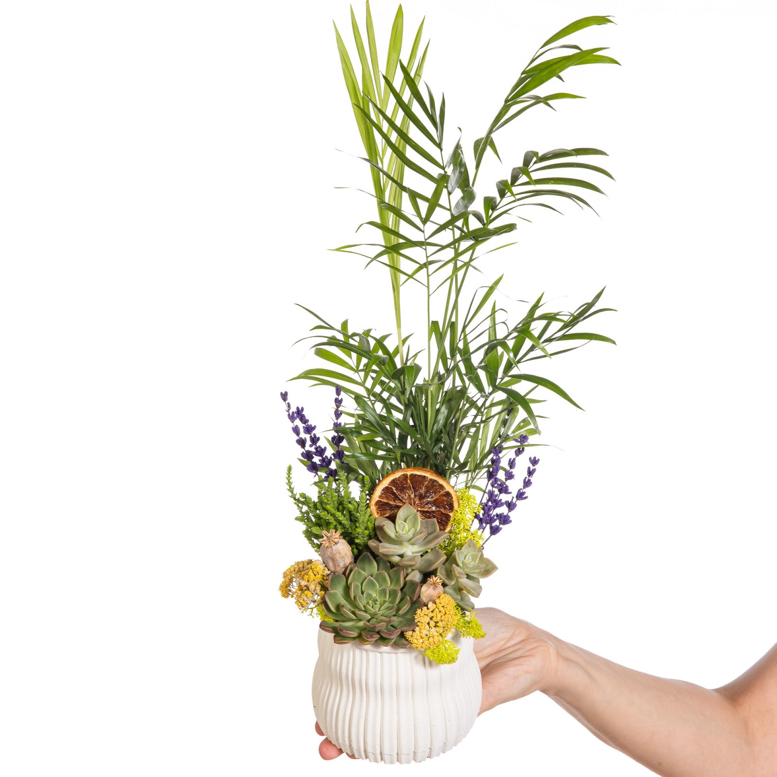 Palm Hideaway Minik Yeşil Bahçe
