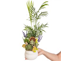 Palm Hideaway Minik Yeşil Bahçe