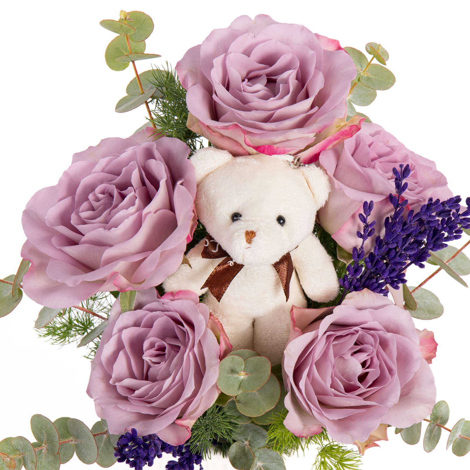 Lilac Lullaby Ayıcıklı Lila Güller