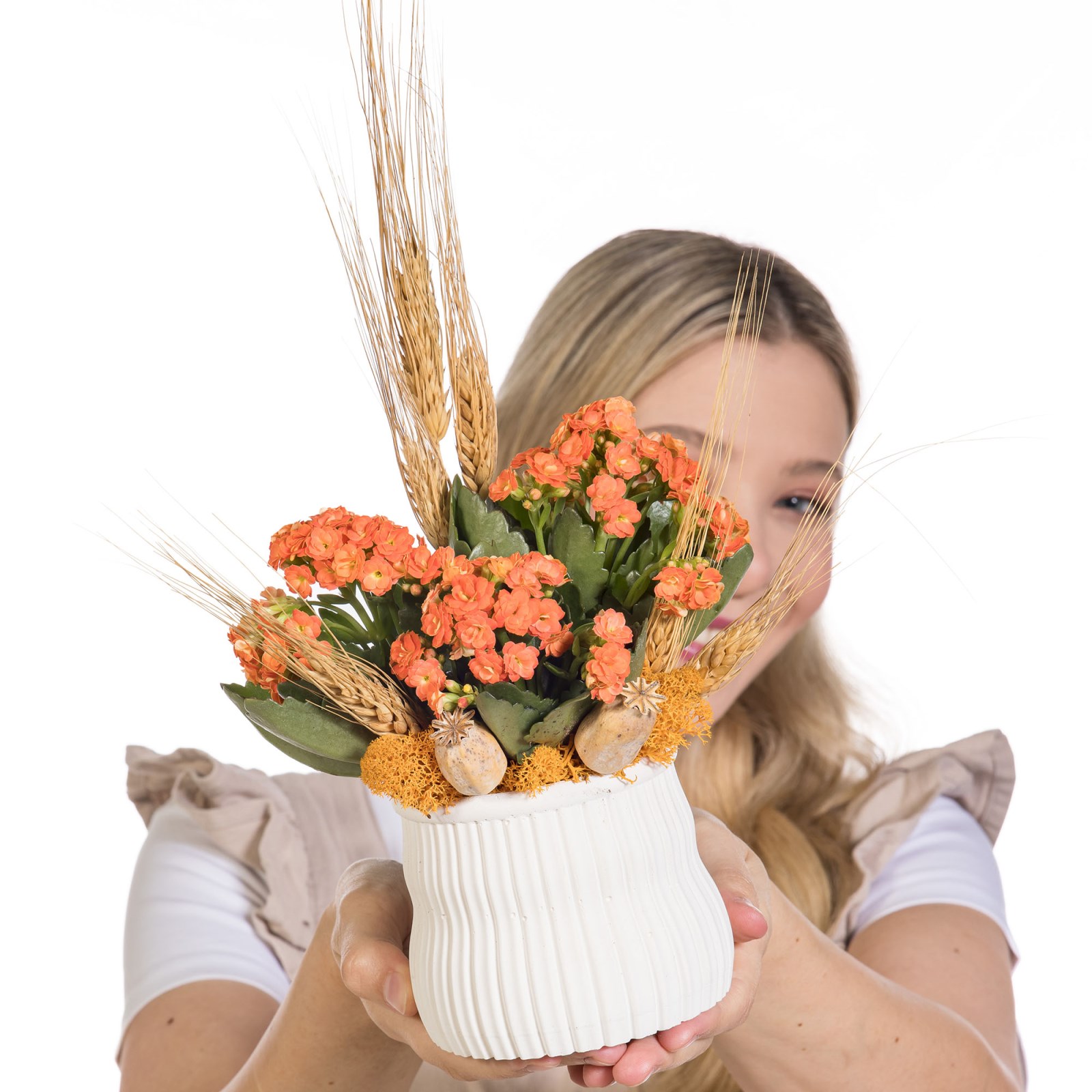 Apricot Harvest Turuncu Kalanşo