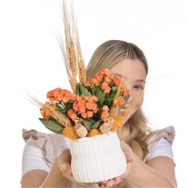 Apricot Harvest Turuncu Kalanşo