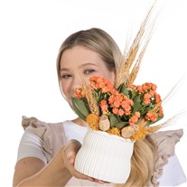 Apricot Harvest Turuncu Kalanşo