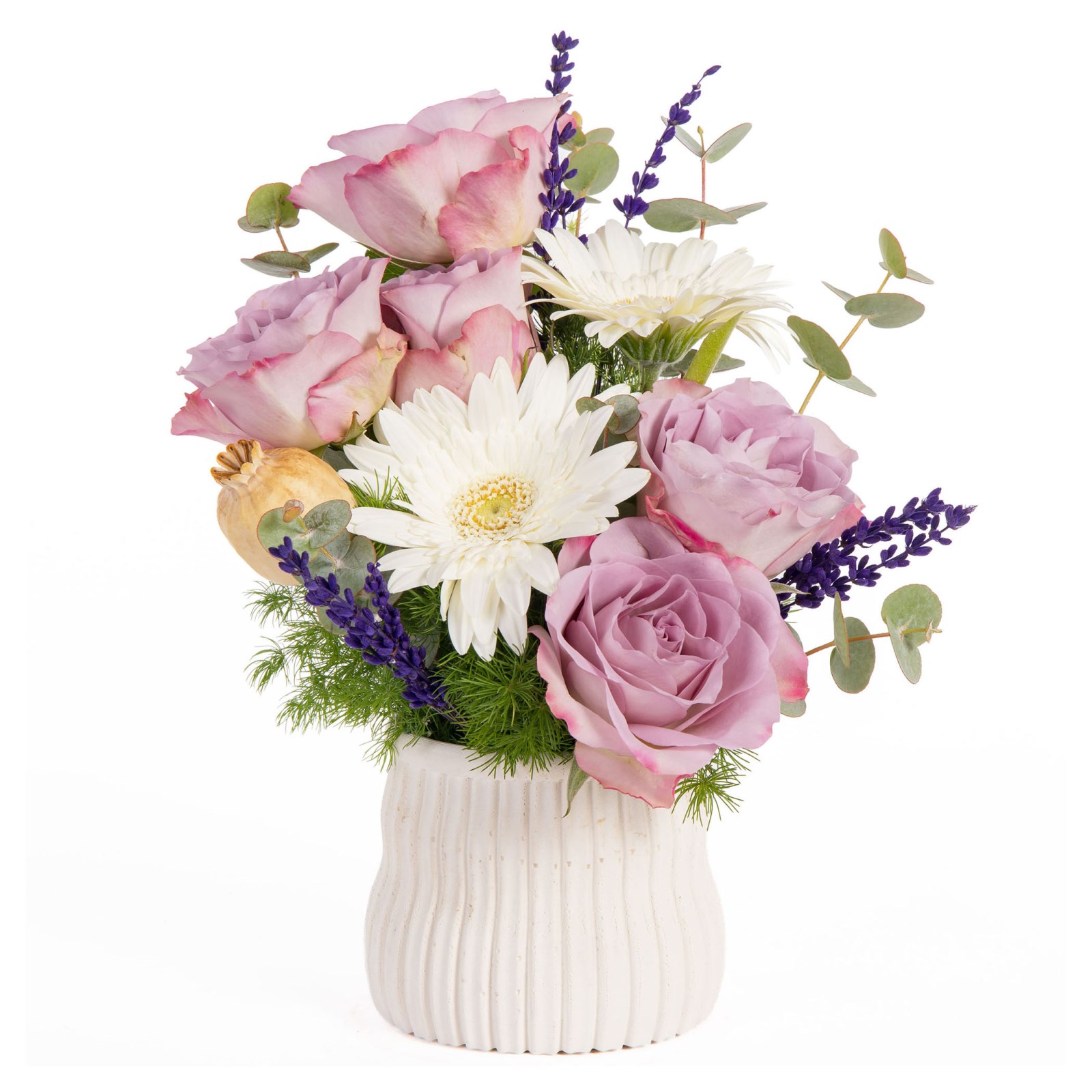 Lilac Meringue Lila Çiçek Rüyası