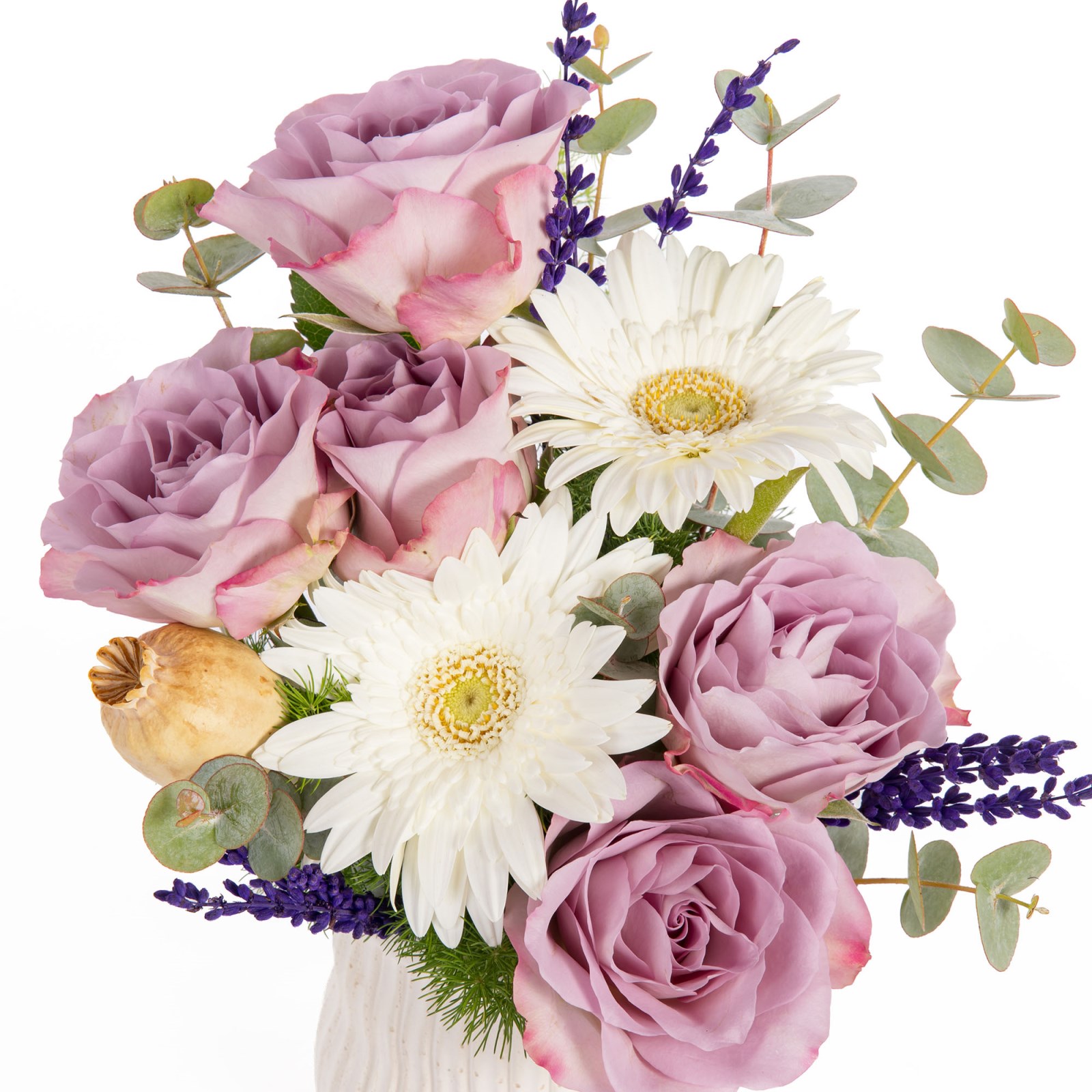 Lilac Meringue Lila Çiçek Rüyası