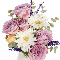 Lilac Meringue Lila Çiçek Rüyası