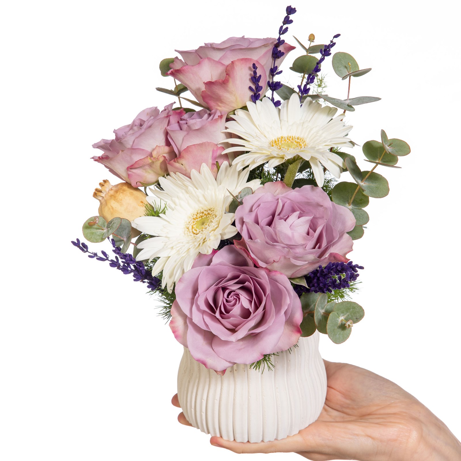 Lilac Meringue Lila Çiçek Rüyası