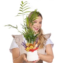 Palm Postcard Saksıda Mini Palmiye