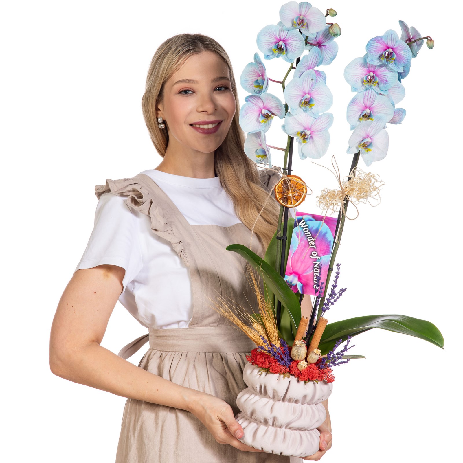 Pastel Mirage Çift Dal Renkli Orkide