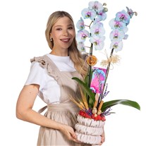 Pastel Mirage Çift Dal Renkli Orkide