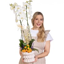 Ivory Harvest Çift Dal Beyaz Orkide