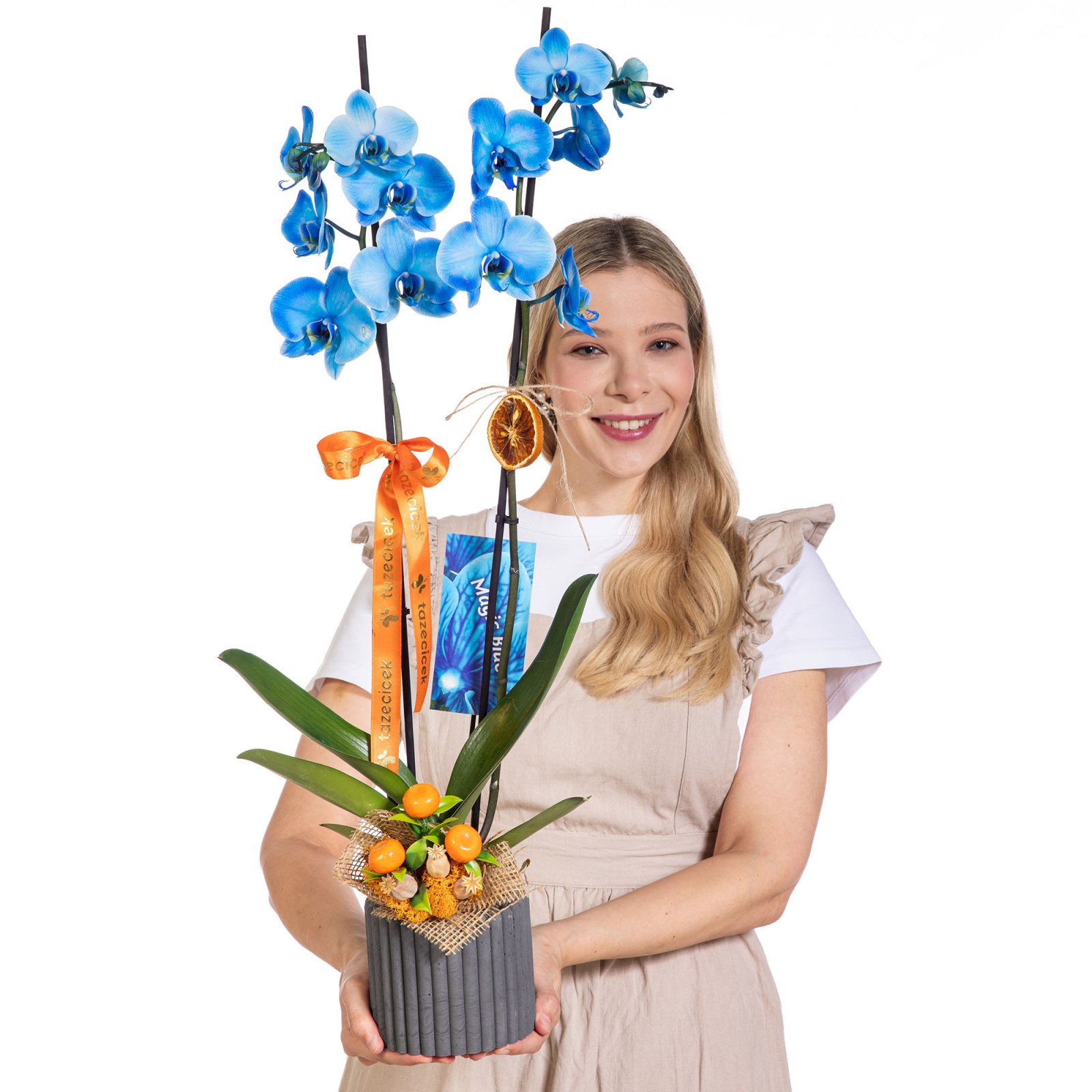 Blue Charm Mavi Orkide