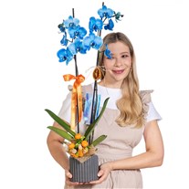 Blue Charm Mavi Orkide