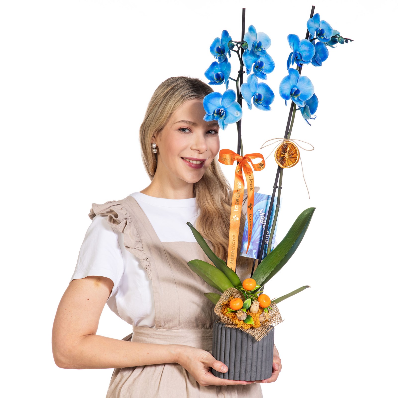 Blue Charm Mavi Orkide
