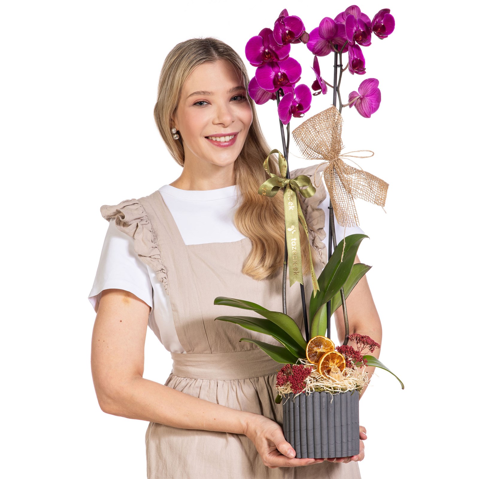 Violet Wish Mor Orkide