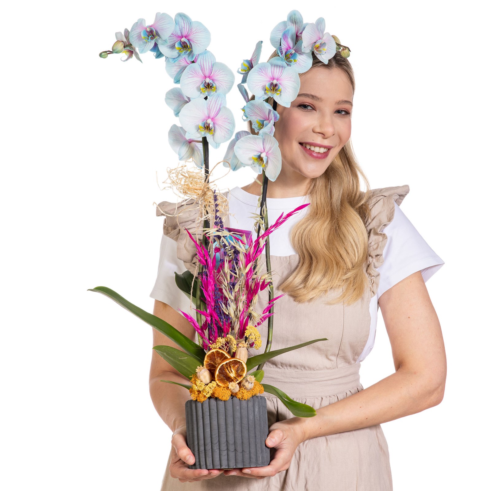 Fairy Blush Renkli Orkide