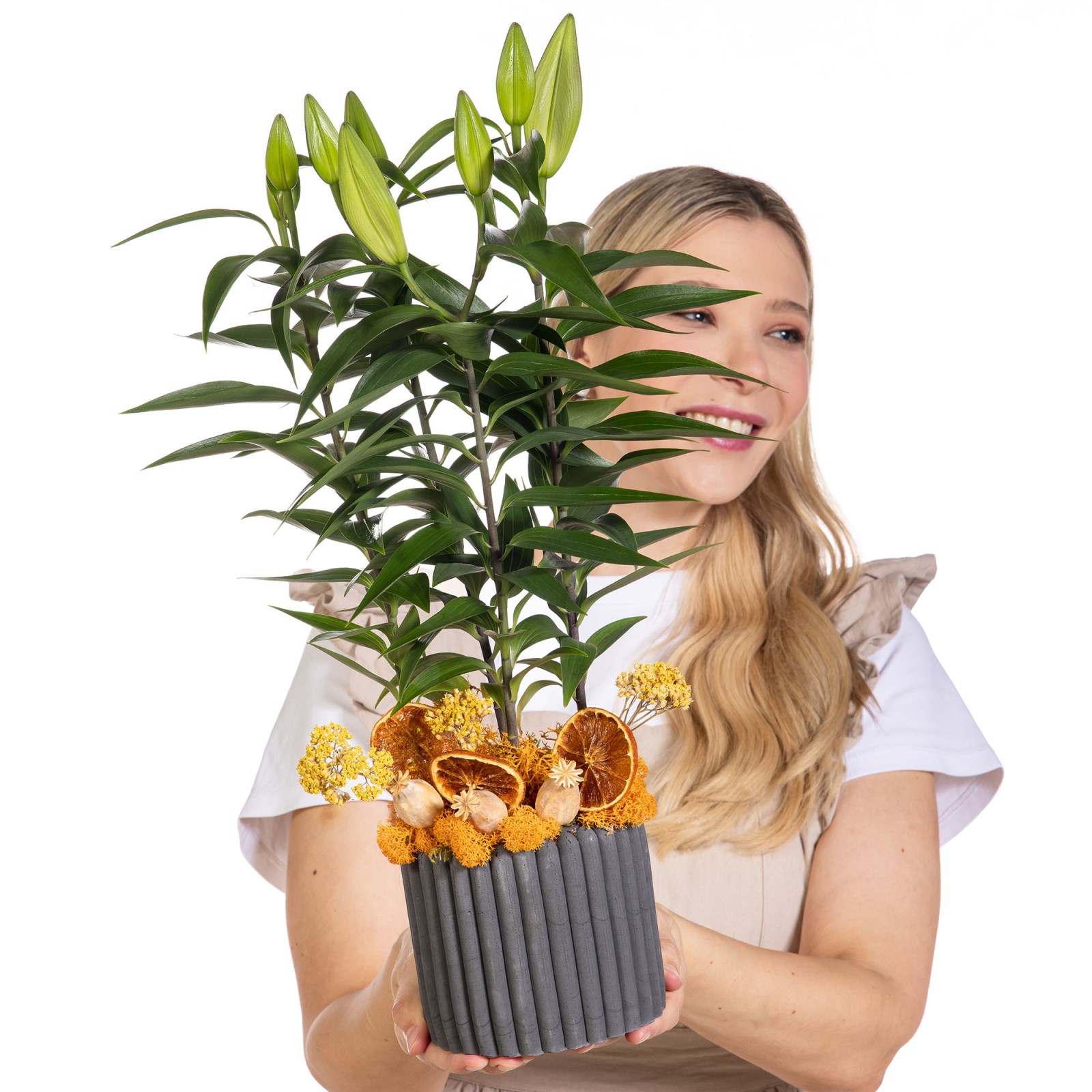 Honey Bud Saksıda Lilyum
