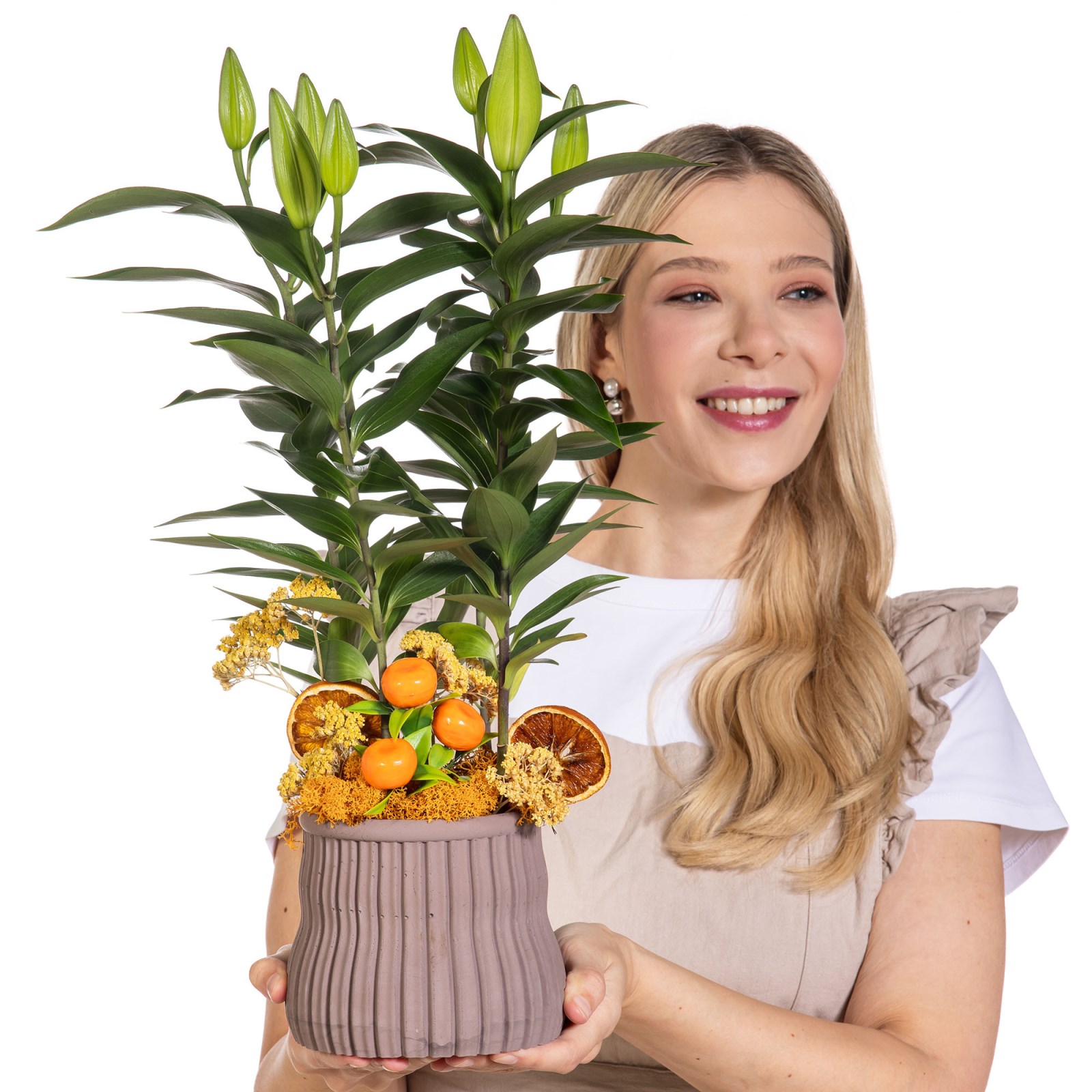 Citrus Lily Saksıda Lilyum