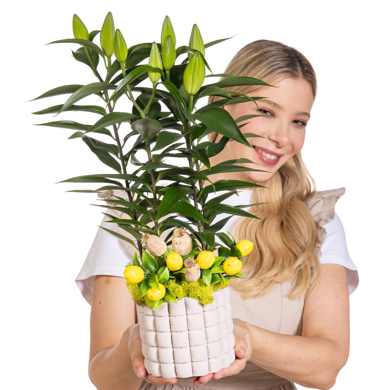 Lemon Lily Saksıda Lilyum
