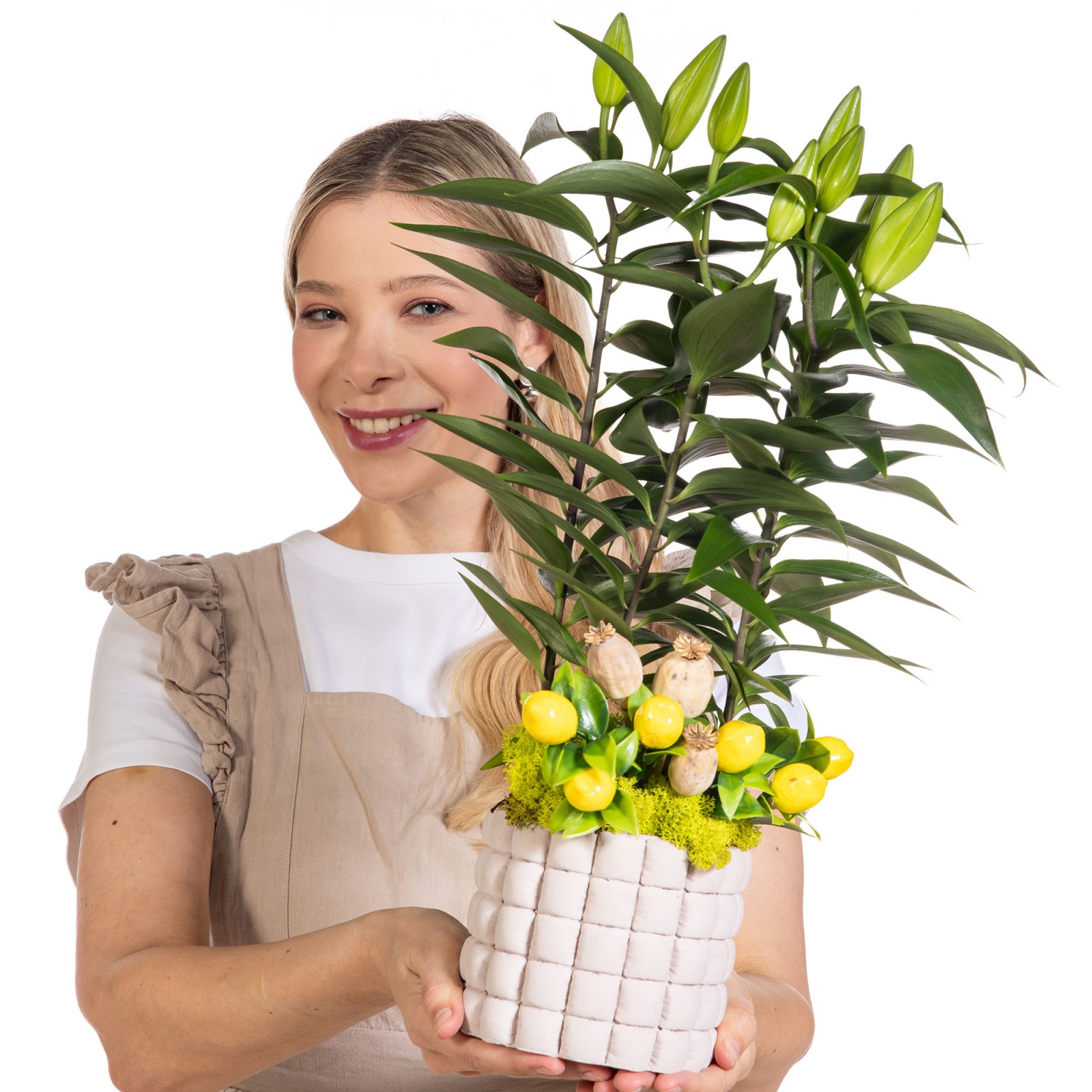 Lemon Lily Saksıda Lilyum