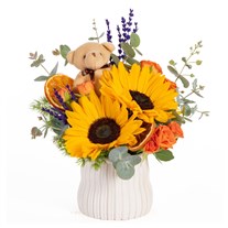 Sunny Teddy Ayıcıklı Ayçiçeği