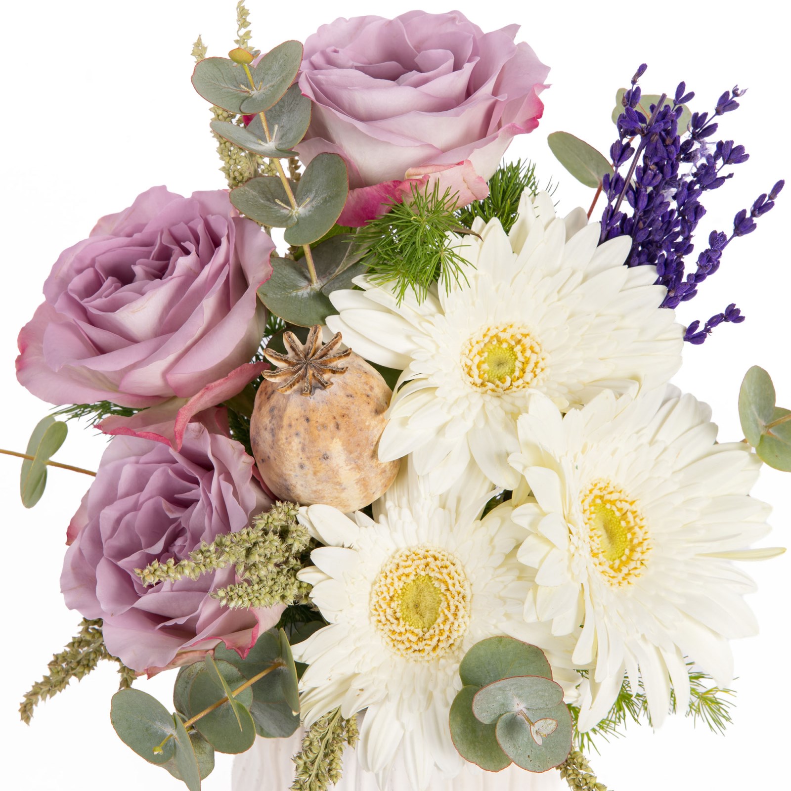 Lilac Charm Lila Gül Zarafeti