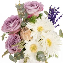 Lilac Charm Lila Gül Zarafeti