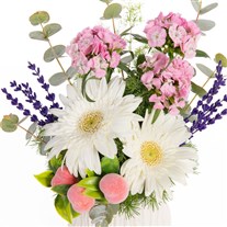 Soft Wishes Beyaz Çiçek Dileği