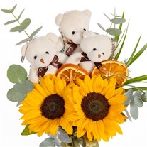 Sunny Hugs Ayıcıklı Ayçiçekleri