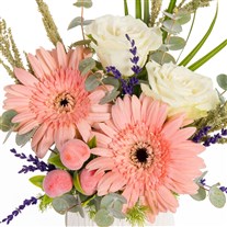 Peach Whisper Gerbera ve Güller