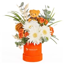 Citrus Teddy Gerbera ve Güller