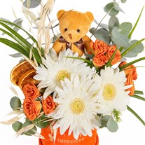 Citrus Teddy Gerbera ve Güller