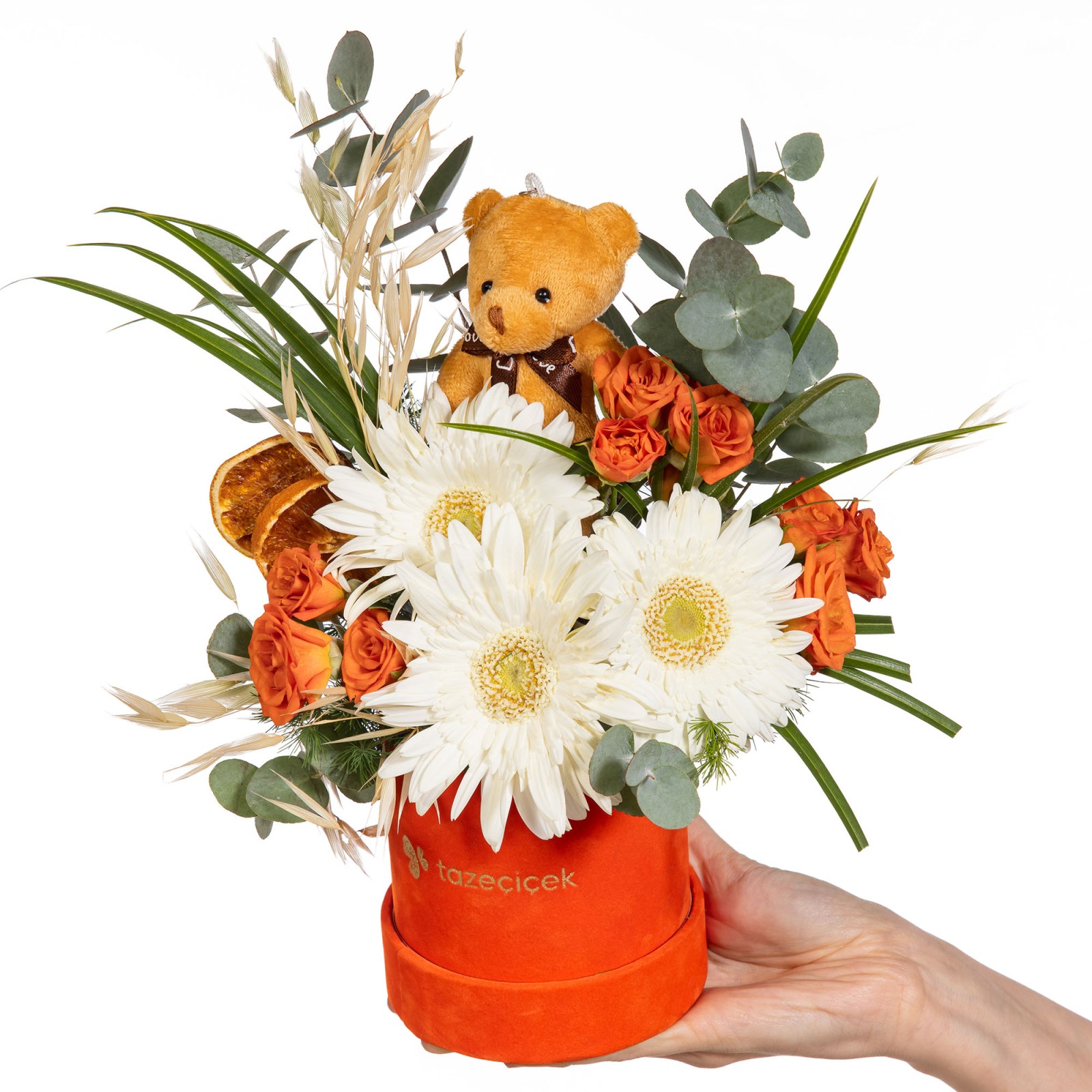 Citrus Teddy Gerbera ve Güller