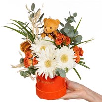 Citrus Teddy Gerbera ve Güller
