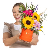 Sunshine Joy Güneşli Çiçek Bahçesi